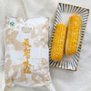 有机黑糯玉米有机黄糯玉米 香味浓郁儿时的味道 2穗/包【京东快递送货上门】 商品缩略图1