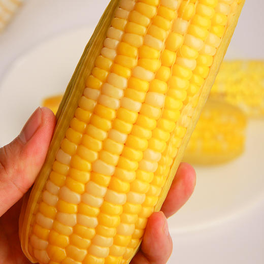 有机黑糯玉米有机黄糯玉米 香味浓郁儿时的味道 2穗/包【京东快递送货上门】 商品图6