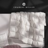 预售 10 天【Charles Millen】CM加拿大进口大白鹅加厚冬被/CM加拿大进口4Dbox白鹅绒枕 商品缩略图4