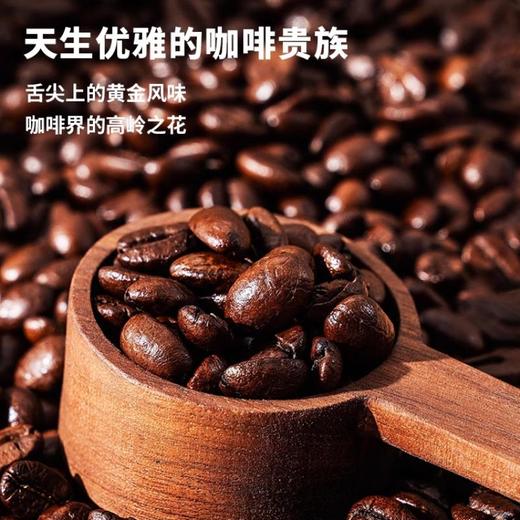 伴氧榛果冷萃黑咖啡 咖啡液开袋即饮 210ml 商品图2