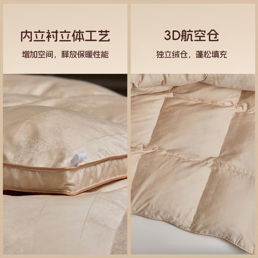 多喜爱 金羽朵95进口白鹅绒冬被/白鹅绒桑蚕丝子母被 -鎏光暖域/栖金枕月hl【95%绒子含量】【1000+清洁度】【波兰进口】【60S兰精天丝】【贡缎面料】银丝提花工艺 3D航空舱  10CM开口 商品图3