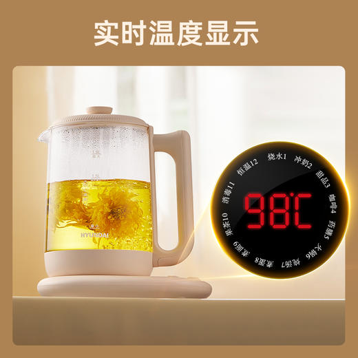 HYUNDAI养生壶HD-518H 商品图5