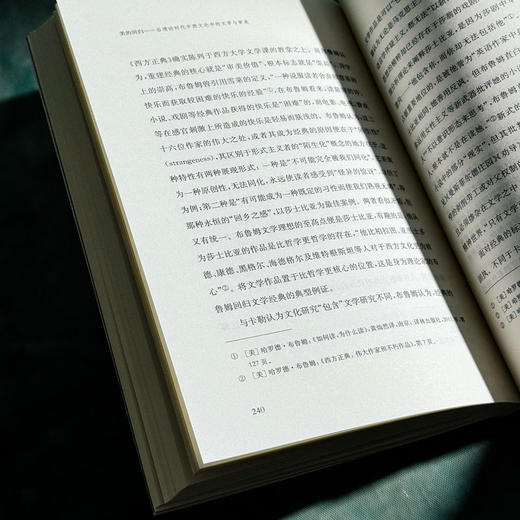 美的回归 后理论时代中西文论中的文学与审美 张蕴贤 商品图11