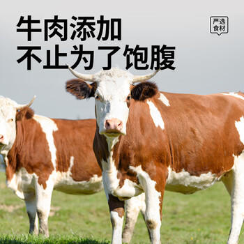 台派狗干粮金毛拉布拉多泰迪成犬小型中型大型犬通用型狗粮20kg 商品图0