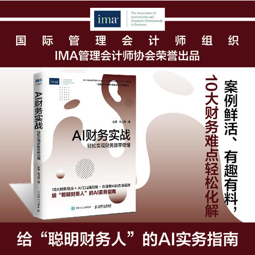 AI财务实战：轻松实现财务效率倍增 数字化转型难点解析工具指导实操案例财务报表分析指南 财务会计管理书籍 商品图0