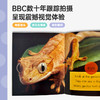 【盖世童书】斑点狗Spot科普绘本（28册）2024版平装 商品缩略图2