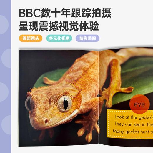 【盖世童书】斑点狗Spot科普绘本（28册）2024版平装 商品图2