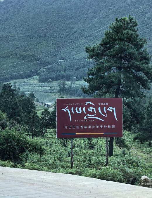 真正的哈巴庄园王林苹果 富士苹果   有机天然 无渣 九分甜  |百里食 商品图11