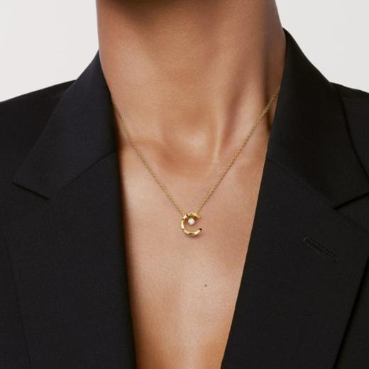 TB123-香奈儿 COCO CRUSH 18K金色项链女款（XK）-10.14直播款 商品图4