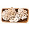 白参菌 约120g/盒 商品缩略图3