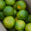 【京东直发】正宗东江湖蜜桔新鲜桔子 口感香甜 爽口多汁 商品缩略图5
