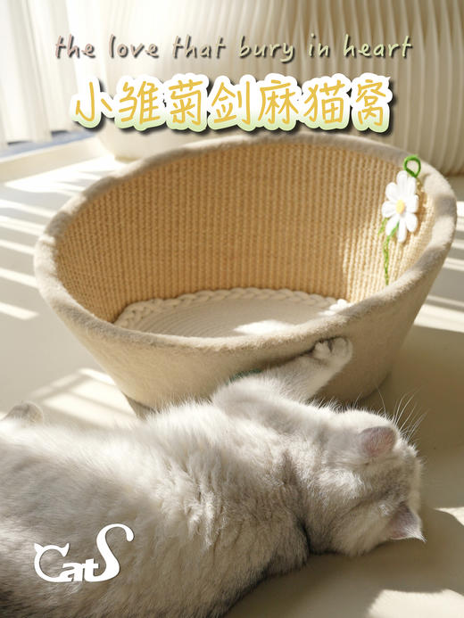 CatS猫家具 雏菊剑麻猫窝 可抓可躺超可爱 商品图4