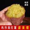 【玛莎莉黄金蜜薯】个大饱满 软糯香甜 味甜鲜美 商品缩略图0