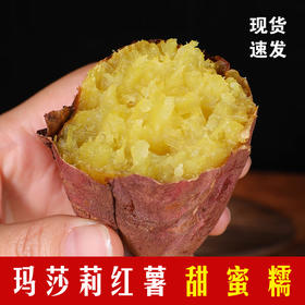 【玛莎莉黄金蜜薯】个大饱满 软糯香甜 味甜鲜美