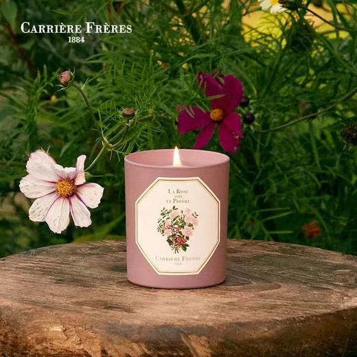 CARRIERE FRERES法国植物学家CF香薰蜡烛室内香氛生日礼物185g 商品图3