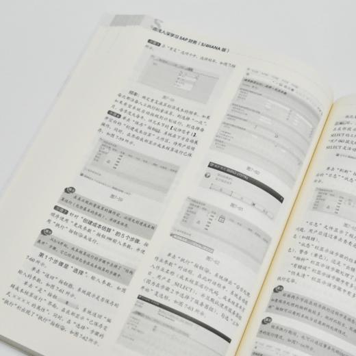由浅入深学习SAP财务 S4HANA版 SAP财务教程 财务分析 ERP系统财务顾问会计教程书籍 商品图3