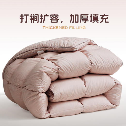 多喜爱 金羽朵95进口白鹅绒冬被-琥珀梦境./鎏光暖域hl【95%绒子含量】【1000+清洁度】【波兰进口】【60S兰精天丝】【贡缎面料】银丝提花工艺 3D航空舱  10CM开口 商品图2