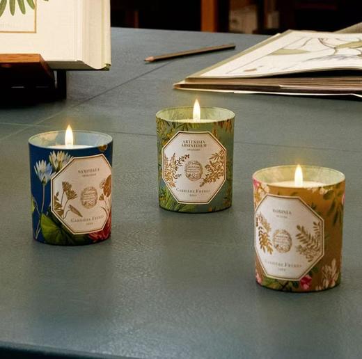 CARRIERE FRERES法国植物学家CF香薰蜡烛室内香氛生日礼物185g 商品图4