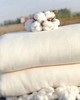 【新疆直发】新疆长绒棉胎棉被多种规格尺寸 商品缩略图3