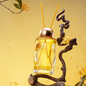 一起赴桂无火香薰-纪念日百货门店同款166395081