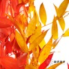 荷兰花材 | 熊猫竹秋色 Dried Ruscus Autumn Preserved 商品缩略图0