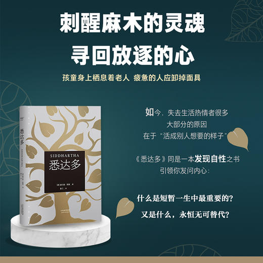 悉达多 畅销全球7年，影响千万青年。翻译家姜乙作品，德文直译，豆瓣评分9.4 商品图3
