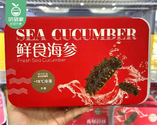 【第2份半价】（3年+）辽宁鲜食海参（配礼袋）/1盒（45-50g*10只）生产日期：26年4月 商品图7
