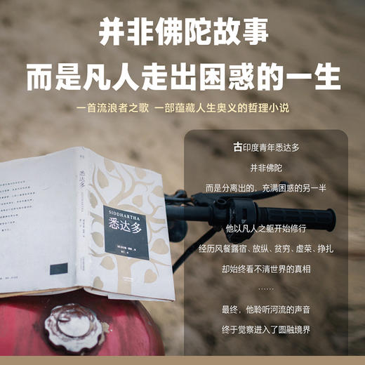 悉达多 畅销全球7年，影响千万青年。翻译家姜乙作品，德文直译，豆瓣评分9.4 商品图1