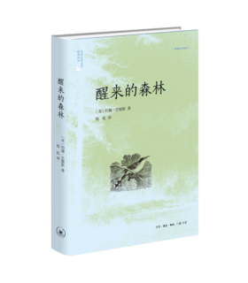 醒来的森林(二版)