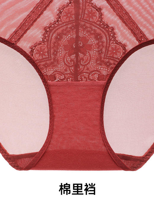 【Scarlett】遐中腰平角裤性感镂空纯棉裆透气速干超薄蕾丝内裤女 商品图4