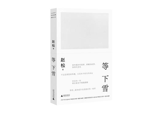 等下雪 赵松/著 赵松、收获文学榜、抚顺故事集、你们去荒野、积木书、广西师范大学出版社 商品图1