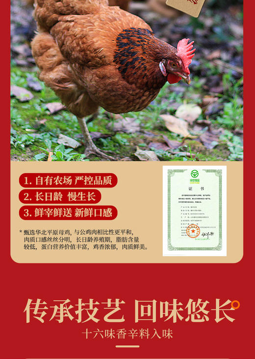 德州扒鸡真空传承1956华北母鸡礼盒1.2kg/盒 礼送中华老字号 熟食 开袋即食 商品图9