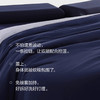 西域楼兰·星级酒店同款控温四季被， 软糯好睡到不想起来，可拆卸子母被设计，四季都实用【G】 商品缩略图4
