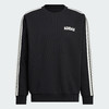 Adidas阿迪达斯STADIUM WINTER SWEATSHIRT 透湿保暖运动休闲圆领卫衣套头衫KC2850 商品缩略图2