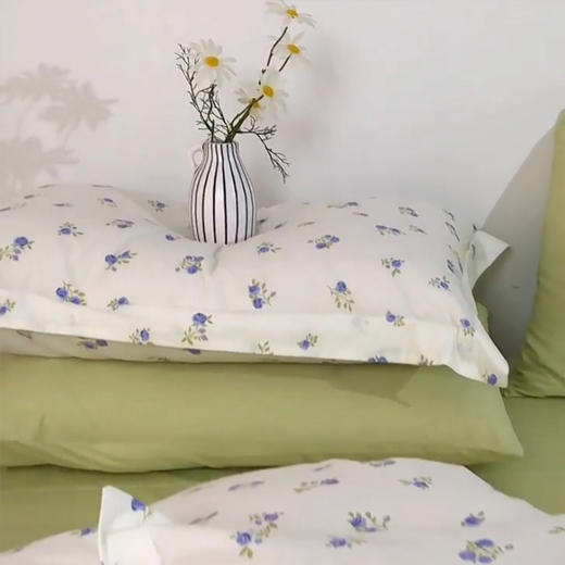 罗曼罗兰 全棉四件套淡妆初夏200*230cm 6925314751704 商品图2