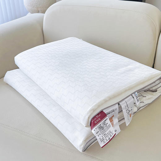 彼加曼 臻品贡缎棉提花蚕丝被200*230cm BGM-BX249 商品图3