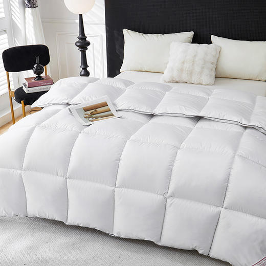 彼加曼 冰岛纳米锁暖羽丝绒被200*230cm BGM-B2557 商品图3