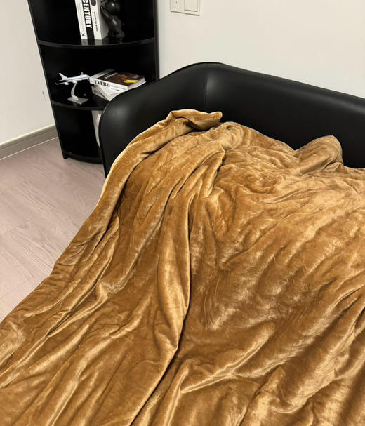 25新款日本西川石墨烯五层吸湿发热盖被子毯子 商品图4