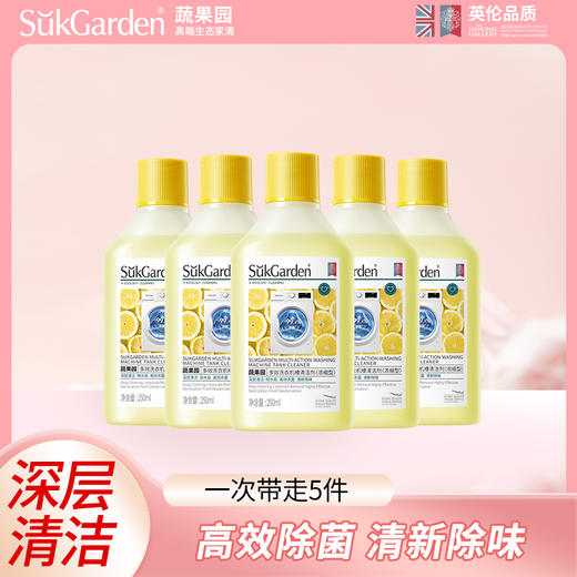 原价89.9 限时折扣37.6元【蔬果园】洗衣机槽清洁剂（2代浓缩）250ml/瓶*5 商品图0