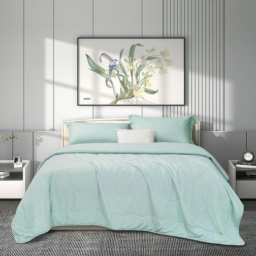 富安娜 凯蒂·轻颜水洗空调被203x229\370g 6916517874093 商品图2