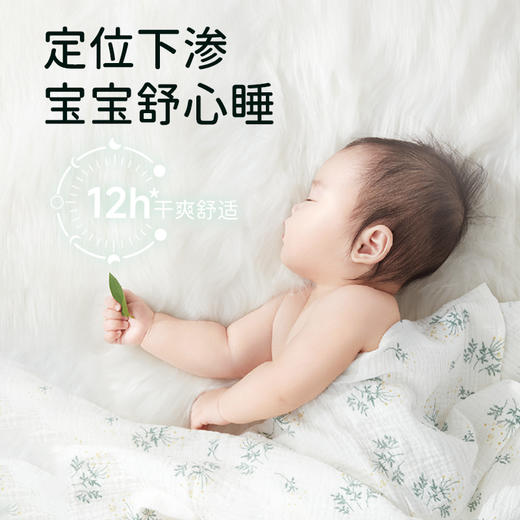 【超值福利特价】雀氏自然佑肌纸尿裤 商品图4