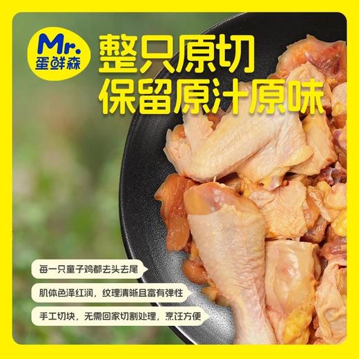 顺丰蛋鲜森原切童子鸡 米其林三星餐厅合作品牌 发酵谷物饲养 农场连续8年获得有机认证 精选70-100天仔鸡原切 去头去尾 基地直邮 商品图2
