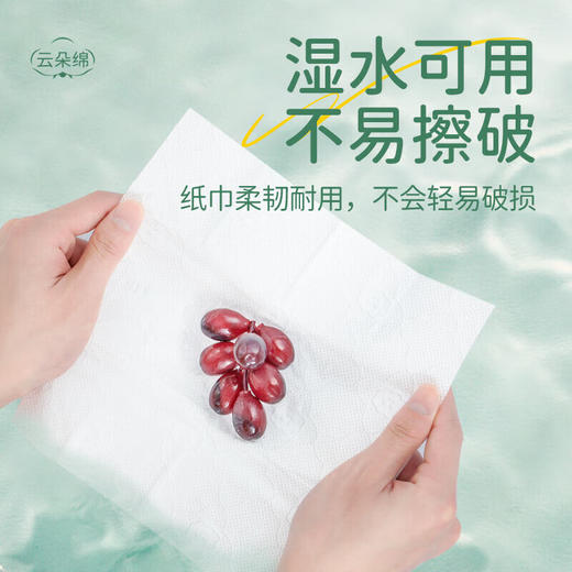 蓝漂 悦色花园白色气垫挂式抽纸4层1184张*7提 LPSHC-07T 商品图3