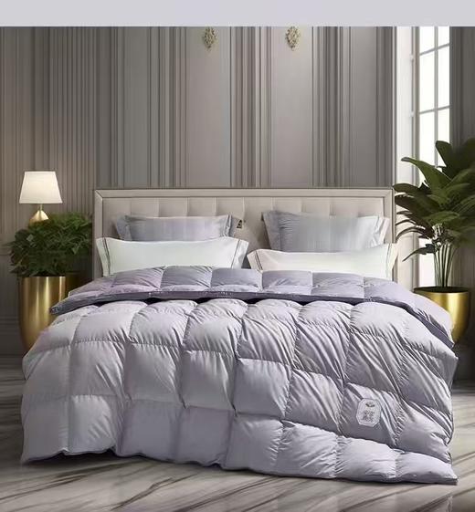 【富安娜】B座7F A类抗菌鹅绒被·富有安康（送2000元线下无门槛券！） 商品图0