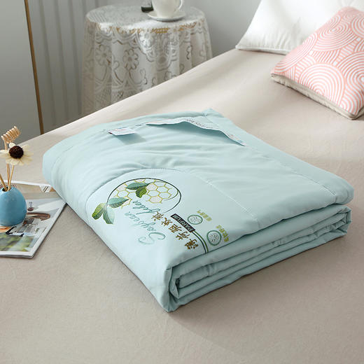 啄木鸟 夏被-薄荷被180*220CM ZMN-BHB-01 商品图3