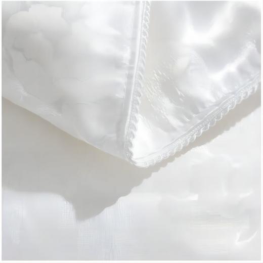 彼加曼 御品提花蚕丝被200*230cm BGM-B1025 商品图3