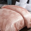 彼加曼 西贡绸缎蚕丝被200*230cm BGM-B2032 商品缩略图2