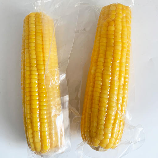 【福小品】海伦市 玉米 10穗 东北甜糯玉米  非转基因黄玉米 真空包装 礼箱 商品图2