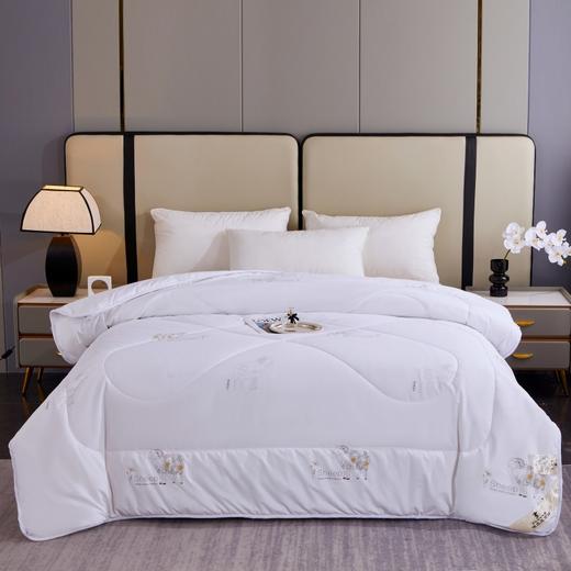 PLOVER啄木鸟 新款羊毛被200*230cm/2.9KG ZMN-DB008 商品图2