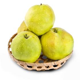【疆品南下】新疆玉露香梨  7.5~8斤装（净重）